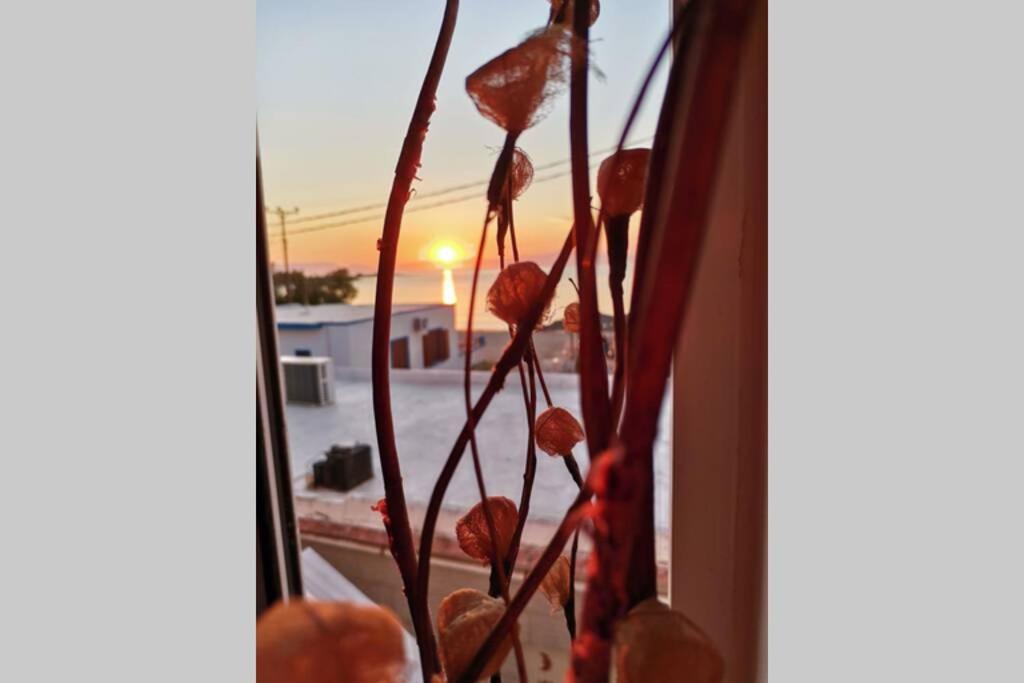 Apartamento Mar Azul Σπίτι Δίπλα Στην Παραλία Και Στο Κέντρο! Elafónisos Exterior foto